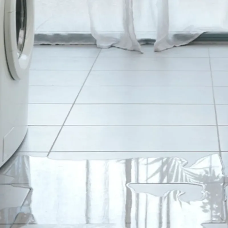 Appliance Leak Cleanup in Marco Island, FL